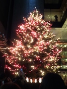 銀座・冬の風物詩－ミキモトのジャンボクリスマスツリー、今年も点灯