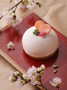 西洋銀座が期間限定「桜スイーツ」－桜のハチミツや桜花の塩漬け使う