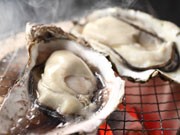 広島産カキ1万個を網焼き－築地場外でチャリティー「カキ祭」開催へ