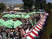 八王子で「イチョウ祭り」－クラシックカーパレードなど各所で多彩な催し