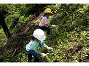 親子で森づくり体験－高尾山を舞台に「森林体験スクール」開催へ