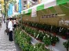 八王子で「夏の風物市」－昭和レトロ縁日や「浴衣で人力車体験」も
