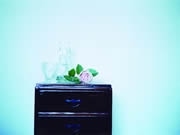 女性の目線で写真展－「福岡乙女カメラ部」が博多で写真展