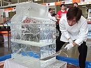 博多郵便局に氷の「ハリーホーク」出現－利用者にひとときの涼を