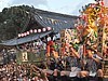 追い山2009－櫛田神社前