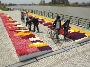 チューリップ50万本の花イベント－サミット共同誘致の新潟市主催