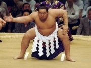 横浜で6年ぶりの大相撲巡業－「横浜場所」開催決定