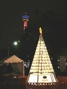 横浜市内各所で16のイルミネーションイベント