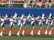 横浜ベイスターズ、専属チアチーム新メンバー募集