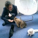 中華街そばに横浜初の「猫カフェ」－観光名所として期待