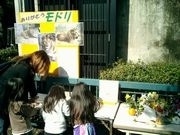 国内最高齢ライオン老衰死で献花台設置－野毛山動物園