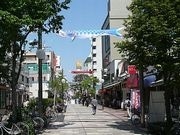 横浜・伊勢佐木町商店街に「鯉のぼり」100匹