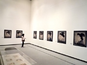 横浜美術館で著名人が選ぶコレクション展－荒木経惟さんら