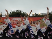 恒例「ハマこい踊り」に「ひこにゃん」と「たねまる」も参加