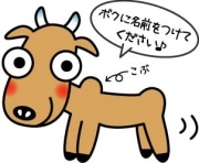 横浜ユーラシア文化館が「こぶ牛」新キャラ名募集-開館6周年で