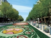 日本大通りに23万本の花でフラワーアート-花絵デザイン募集