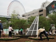 運河パークに2万株の花で「巨大花時計」－横浜開港150周年記念