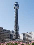 横浜市の年間観光入込客数が4,253万人に－過去最高を記録