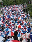 マリノスのサポーター組織がNPO法人に－ハマトラSNS運営も