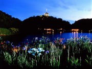 三溪園で風情漂う「蛍の夕べ」―週末は無料シャトルバスも