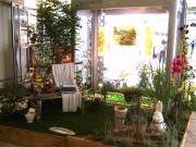 横浜ベイクォーターでバラのフェスタ―永瀬ももさんライブも