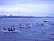 山下公園前海上で初夏を彩る「横浜港カッターレース」