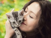 ランドマークホールで「犬と猫」の4作品上映-新名画座企画