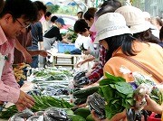 生産者の顔が見える「みなとみらい農家朝市」-毎月定期開催へ