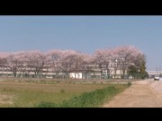 少年が見た終戦日の空を描いた「私の青空・終戦63」上映会