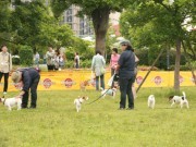 MM地区で愛犬と港を楽しむ「ドッグパーティ」-撮影会やセミナーも