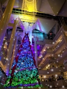 FMヨコハマが公開クリスマスライブ-中孝介さん、島谷ひとみさんら