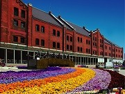 赤レンガに過去最大のフラワーガーデン-花で彩る「赤い靴」も