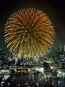 神奈川新聞花火大会で8,000発の花火-大さん橋屋上「くじらのせなか」 を解放