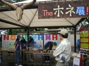 野毛山動物園でGWイベント「ホネ展」-開園時間延長も