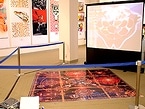 作品の展示方法は様々だ