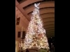 横浜に屋内最大級のクリスマスツリー、多彩なイルミ企画も