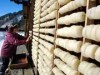 飛騨・山之村で「里山のばあちゃんに学ぶ体験ツアー」－寒干し大根作りなど