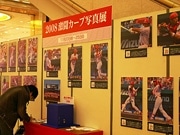 福屋広島駅前店で「カープ写真展」－巨人戦着用ユニホーム・オークションも