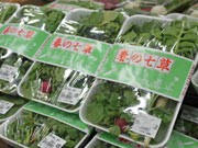 広島市内のJA産直市場に「七草」並ぶ－市価より2～3割安く