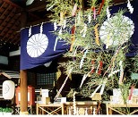 東京大神宮、七夕祈願祭に合わせて短冊を受け付け