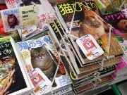 猫雑誌購入者にキャットフード－「猫の日」にちなみ関連フェア