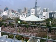 高層階の学食から花見－二松学舎大・人気展望レストランが特別営業