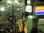 「花見特需」で付近のコンビニが年間最繁忙期に－品切れ続出