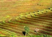 日本とインドネシア、相互に写真展－国交樹立50周年記念で