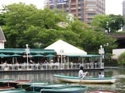 ボートを楽しみながら環境活動に参加－EM団子で外堀の水質浄化