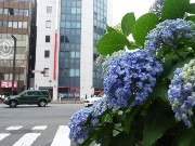 東京地方が梅雨入り－平年より2日、昨年より12日遅く