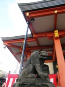 狛犬ならぬ「狛虎」、スタンバイ－神楽坂の毘沙門天・善國寺
