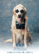 犬の目線で撮影した写真展－牛込柳町のギャラリーで開催