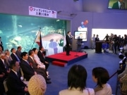 鳥羽水族館の人気者ジュゴンの「セレナ」が入館20周年