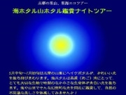 「海のホタル」と「山のホタル」を同時に観察できる場所―志摩で発見